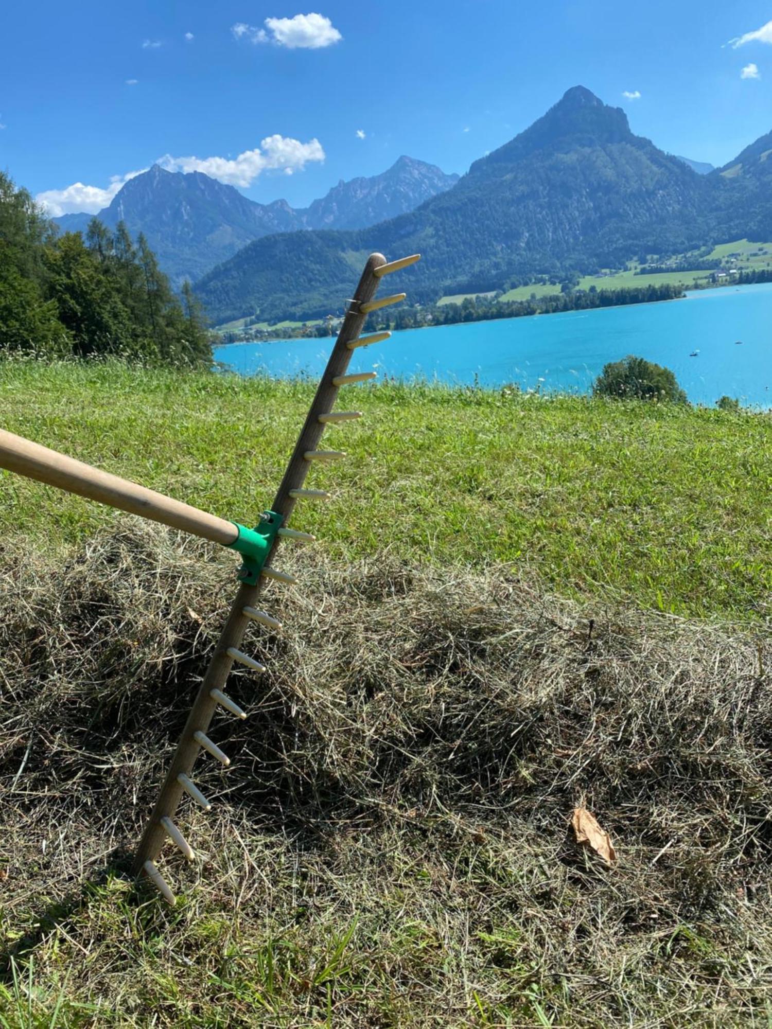 Agroturismo Reiterhof Suassbauer Saint Wolfgang