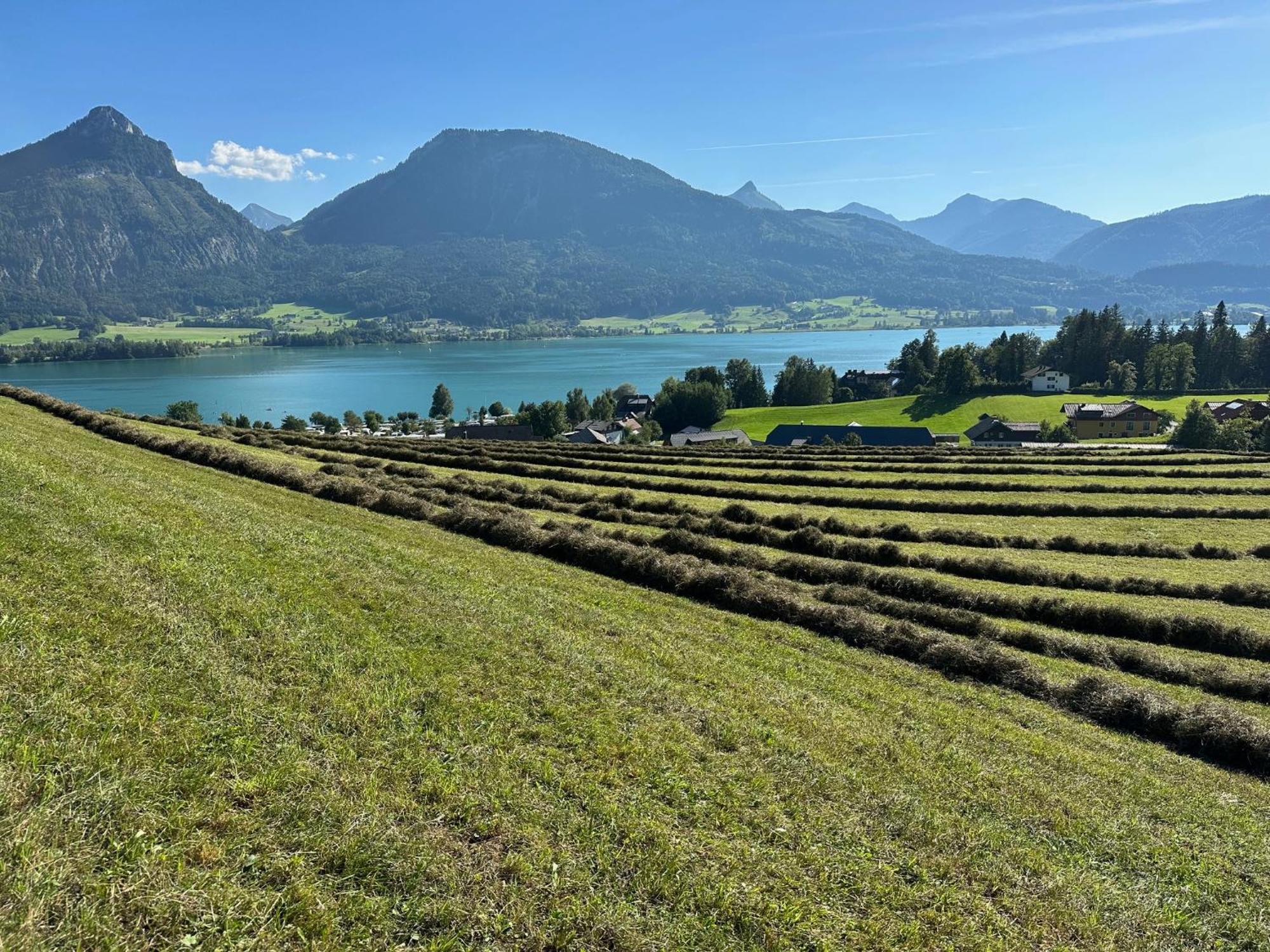 Agroturismo Reiterhof Suassbauer Saint Wolfgang