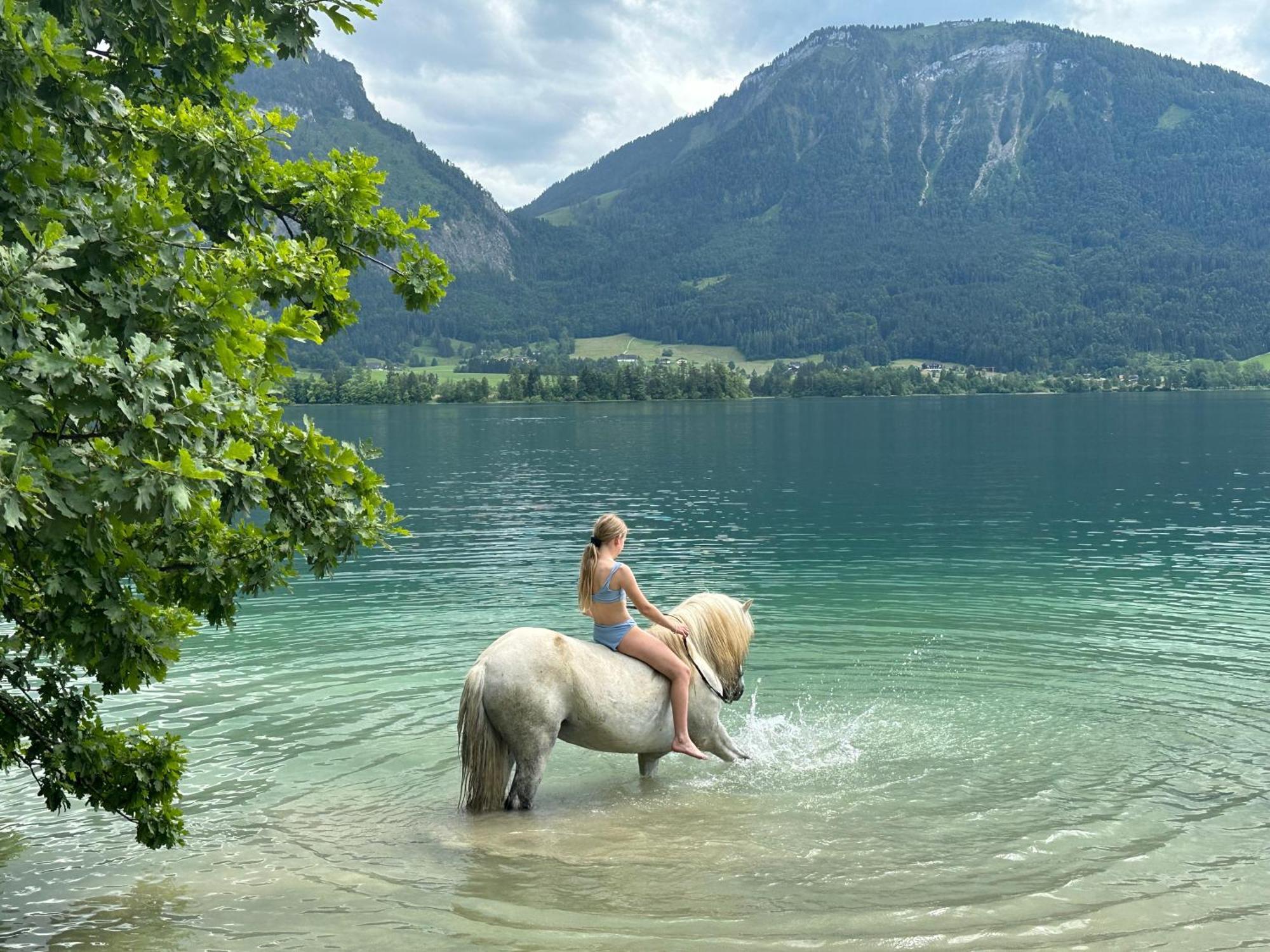 Agroturismo Reiterhof Suassbauer